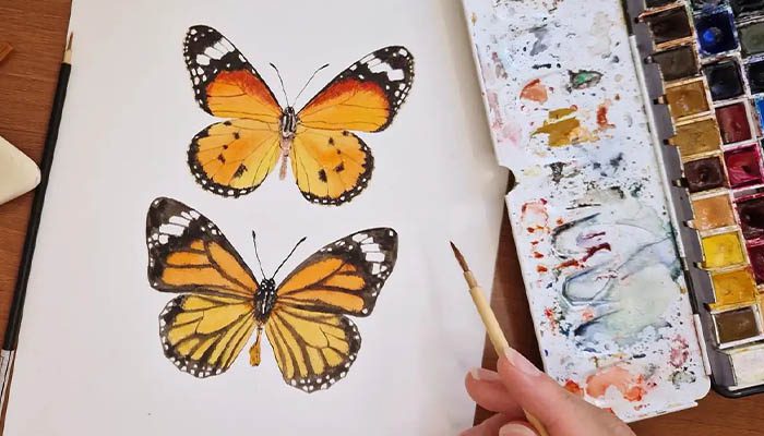 آموزش نقاشی پروانه با ابرنگ
