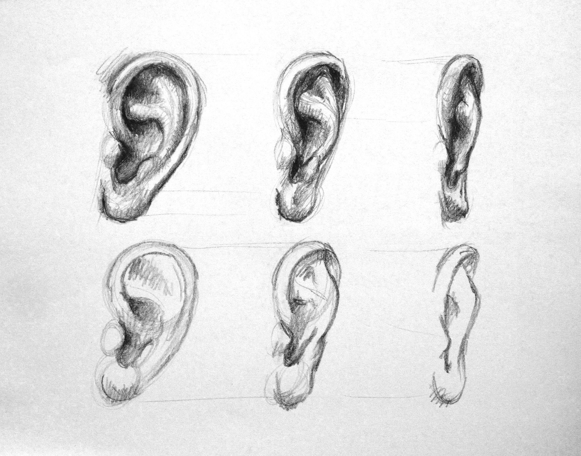 آموزش طراحی گوش 3 طراحی گوش
