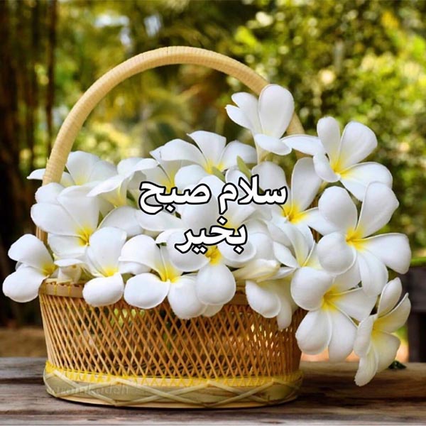 صبح بخیر