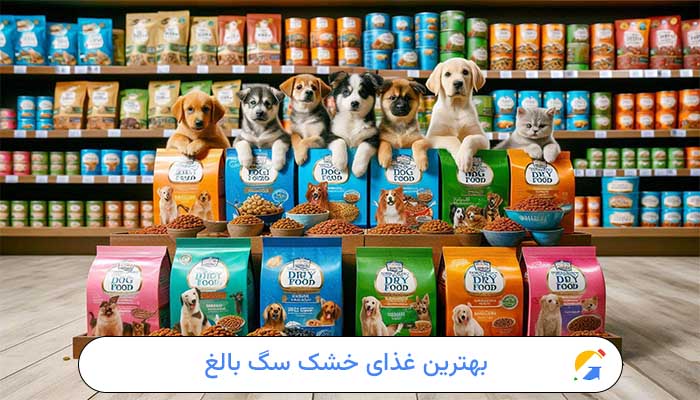 بهترین غذای خشک سگ بالغ