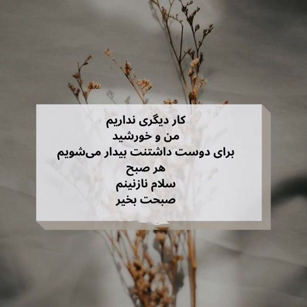 عکس صبح بخیر