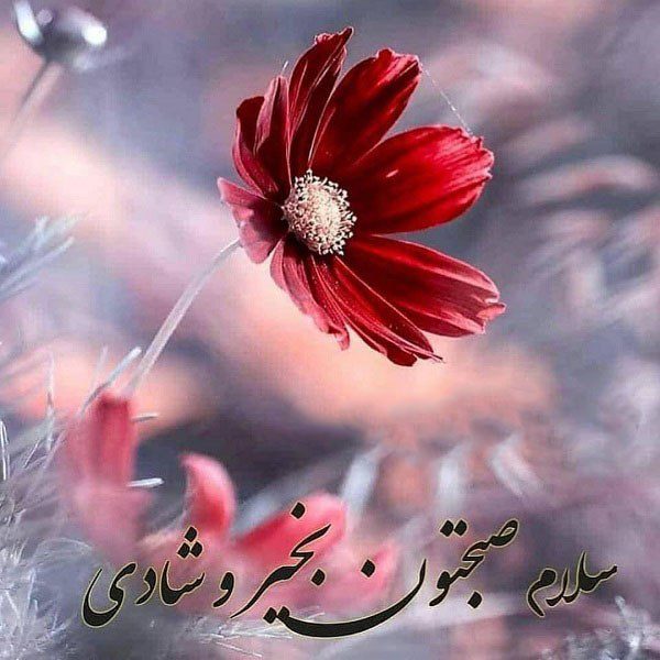 صبح بخیر