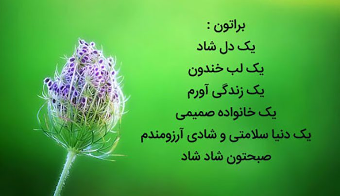 عکس نوشته صبح بخیر