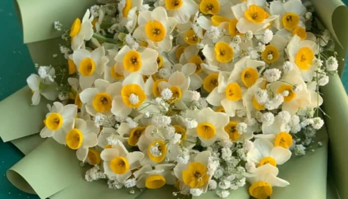 جشن سپندارمذگان چیست؟ تاریخچه و آداب رسوم 4 گل طبیعی (نرگس، سنبل یا رز سفید)