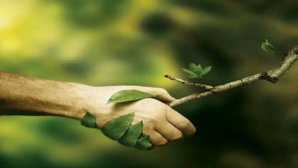 جشن گاوگیل چیست؟ 5 بازتاب رابطهی انسان با طبیعت در جهانبینی ایرانی
