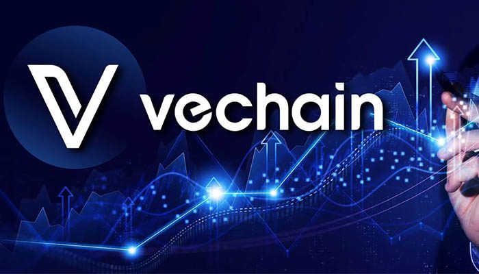 پیش‌بینی قیمت رمز ارز وی چین
