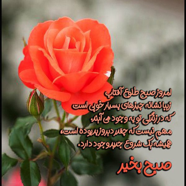 صبح بخیر
