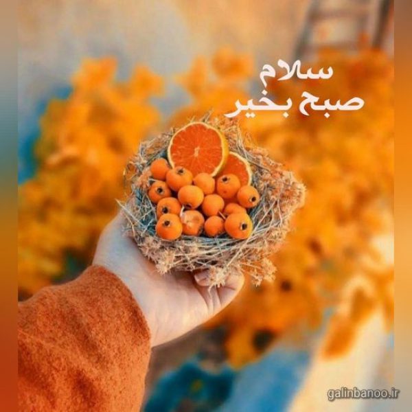 صبح بخیر