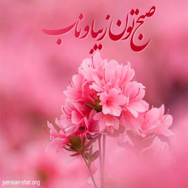 صبح بخیر