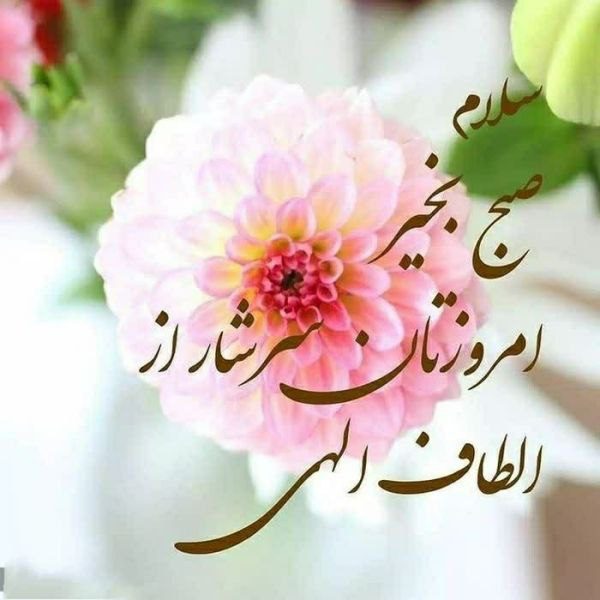 عکس صبح بخیر