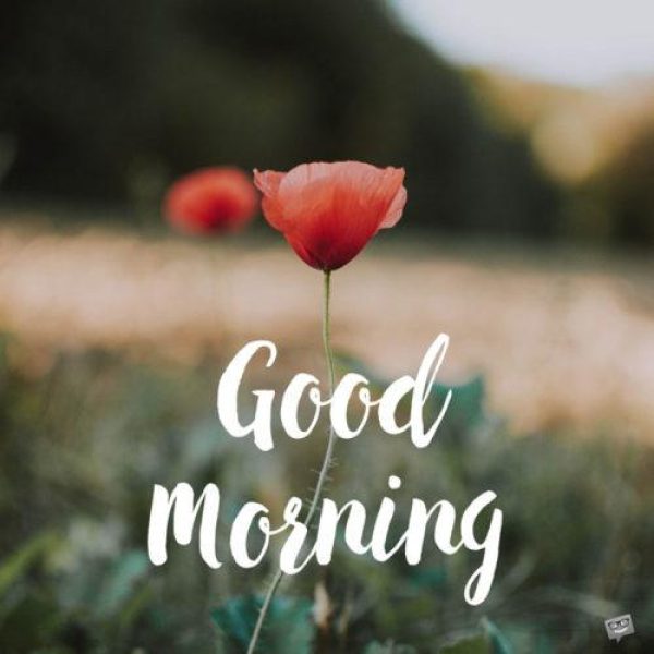 صبح بخیر