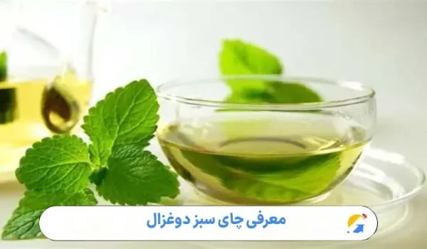 معرفی چای سبز دوغزال