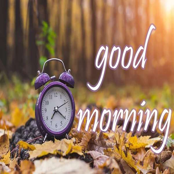 صبح بخیر
