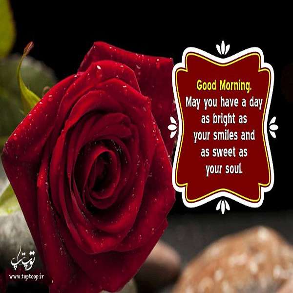 عکس صبح بخیر
