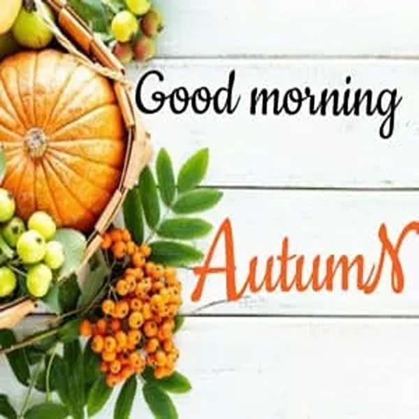 عکس صبح بخیر