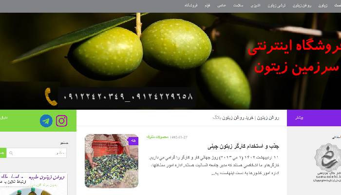 زیتون سرزمین زیتون