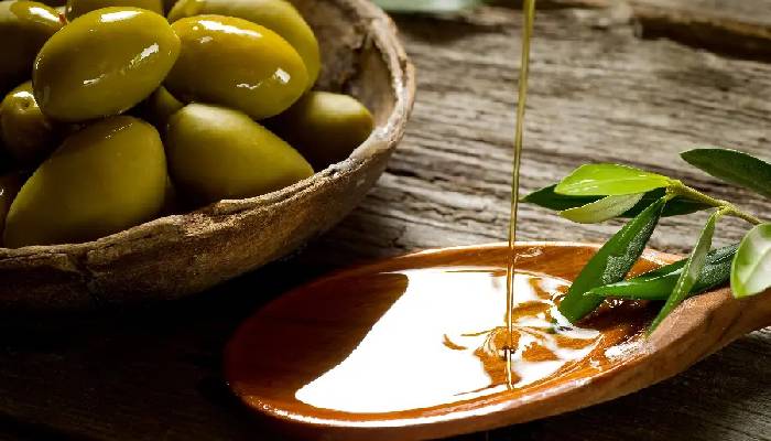 معیارهای انتخاب زیتون‌فروشی معتبر در چالوس