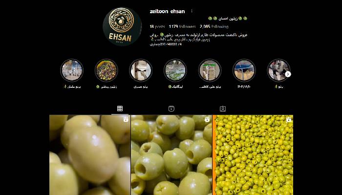 خرید زیتون تازه و اصیل گیلان بهصورت آنلاین 3 زیتون احسان – رودبار