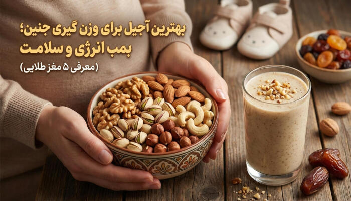 بهترین آجیل برای وزن گیری جنین؛ بمب انرژی و سلامت (معرفی 5 مغز طلایی) 1 بهترین آجیل برای وزن گیری جنین