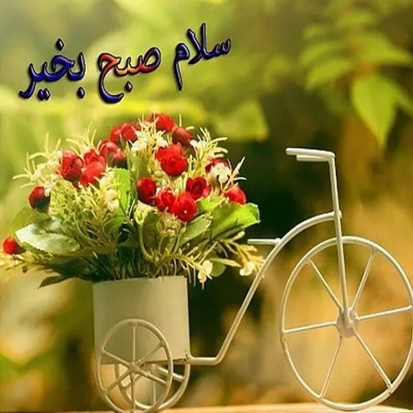 صبح بخیر