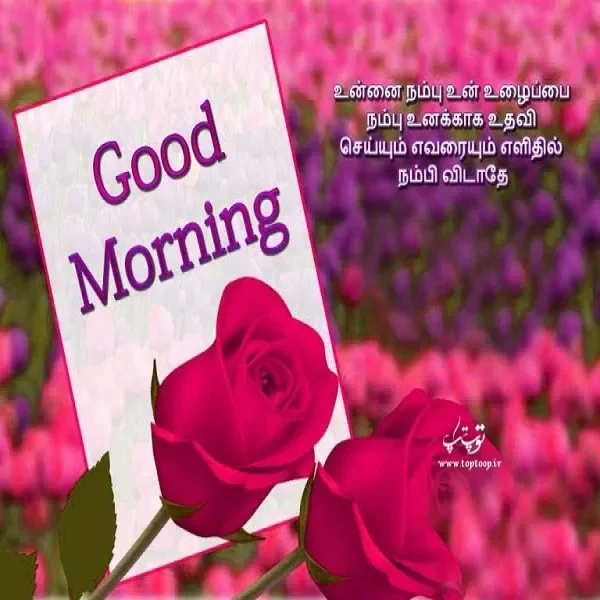 صبح بخیر
