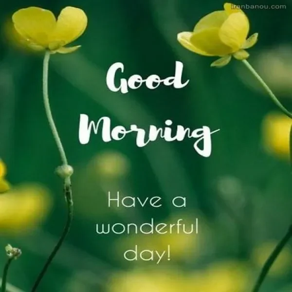 صبح بخیر