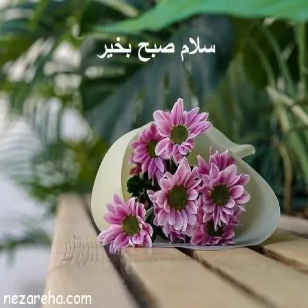 صبح بخیر