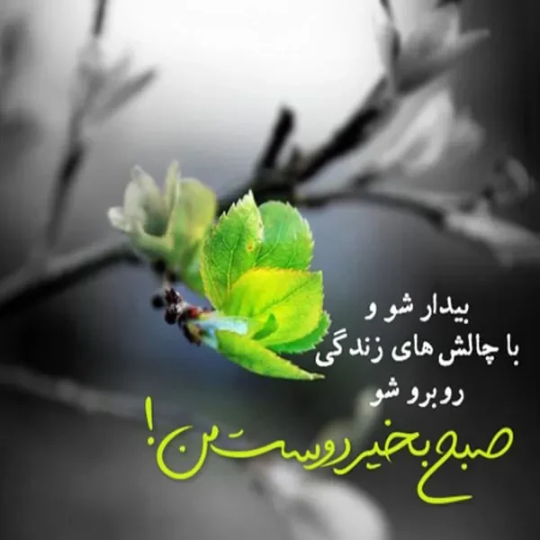 صبح بخیر