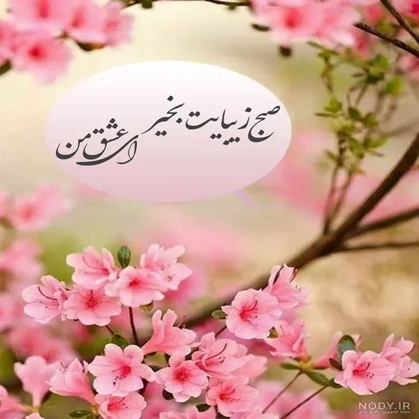 عکس صبح بخیر