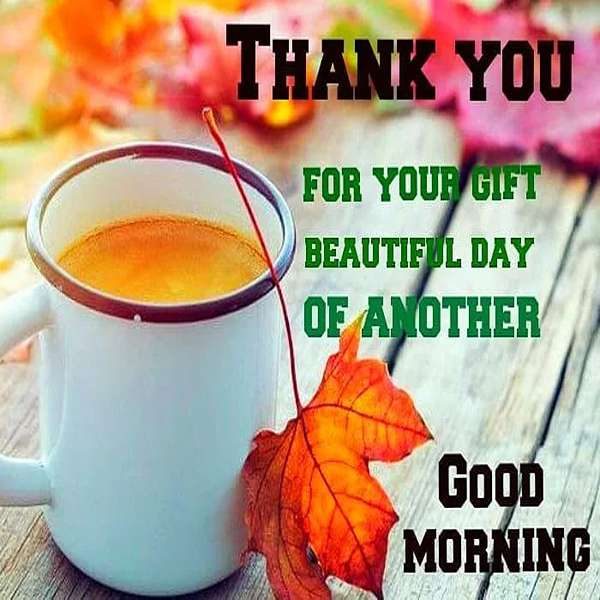 عکس صبح بخیر